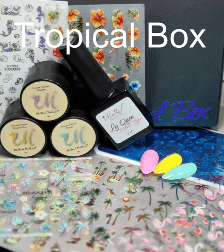 Tropical Box